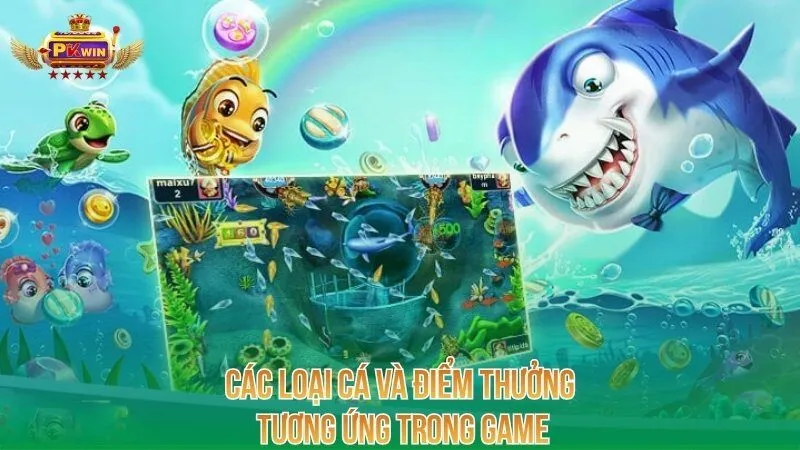 cac-loai-ca-va-diem-thuong-tuong-ung-trong-game