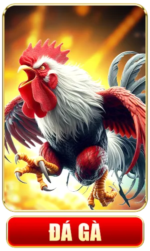 Đá Gà PKWIN