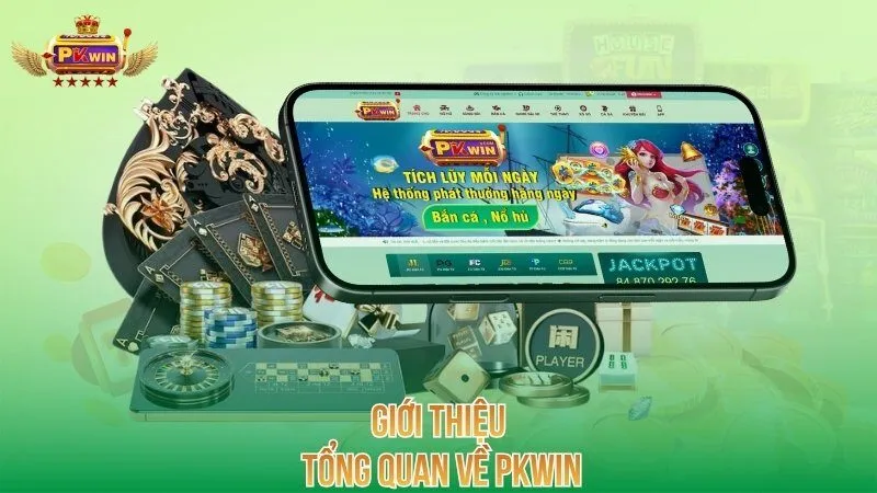 Giới thiệu tổng quan về PKWIN