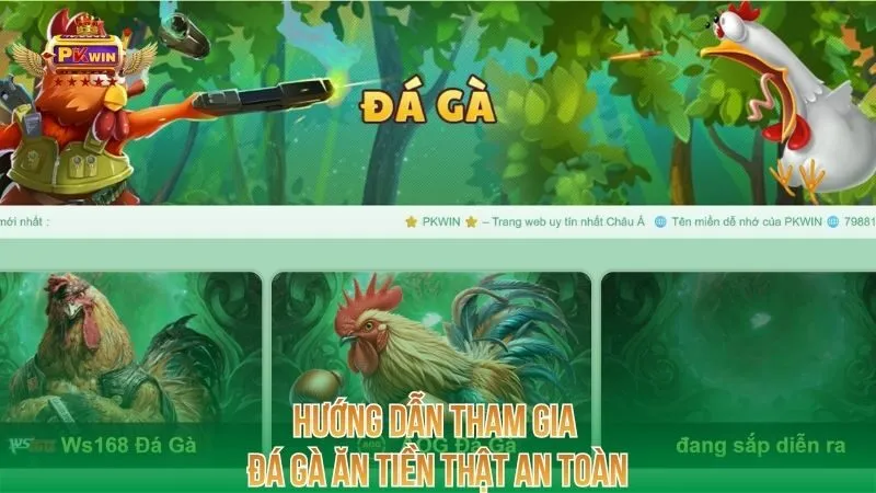 huong-dan-tham-gia-da-ga-an-tien-that-an-toan