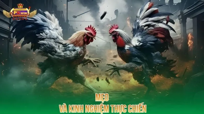 meo-va-kinh-nghiem-thuc-chien