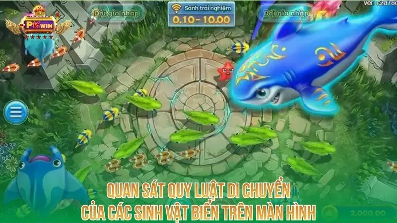quan-sat-quy-luat-di-chuyen-cua-cac-sinh-vat-bien-tren-man-hinh