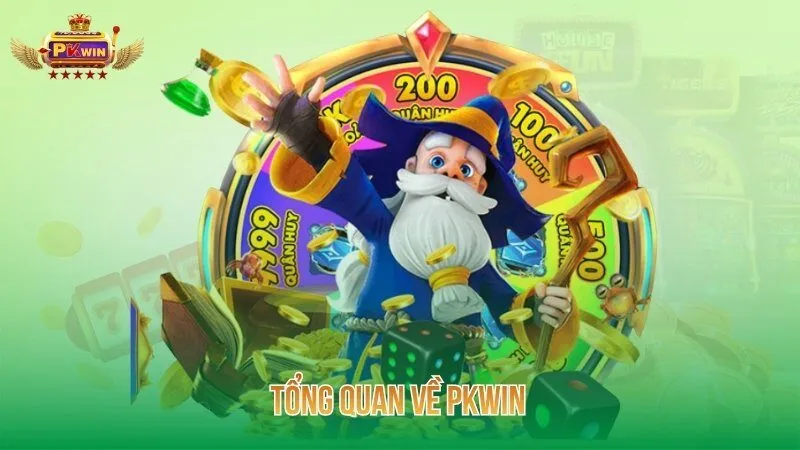 Tổng quan về PKWIN