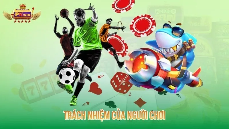 Trách nhiệm của người chơi